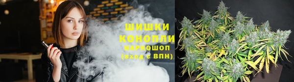 мдпв Магадан