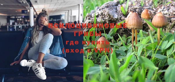 apvp Елизово