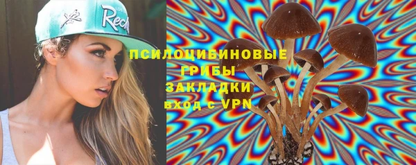 apvp Елизово