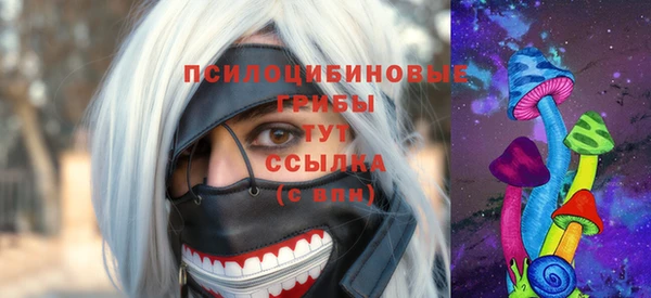 apvp Елизово