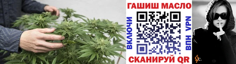 закладки  Емва  ТГК Wax 