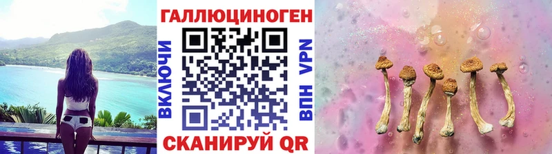 Псилоцибиновые грибы Psilocybine cubensis  kraken   Емва 
