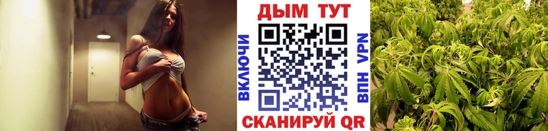 Каннабис сатива  наркота  Емва 